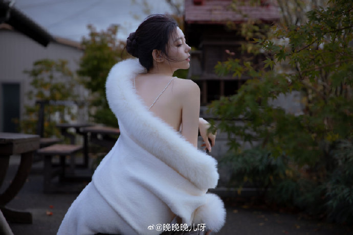 与凤行 封面
